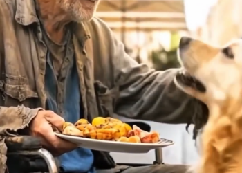 The Golden Retriever’s secret meal