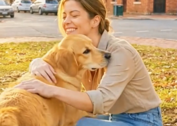 The Pocket Thief and the Clever Counterattack from the Dog