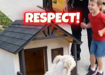 The Female Police Officer and the Miracle for the Stray Dog