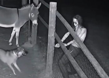 The camera captured the horrific scene.