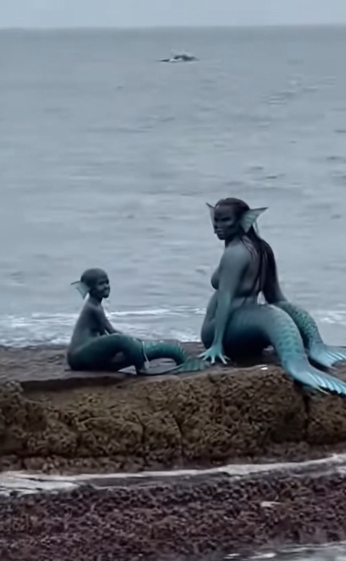 Shocking Ocean Mystery: Mermaid Mother and Child Spotted on Offshore Rocks!