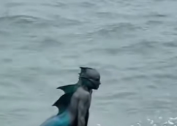 Sighting on the Sands: The Unsolved Mystery of the Mermaid Family
